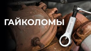 Гайколомы AVS