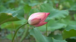 Врата изобилия открываются 31 марта. Как забрать своё.