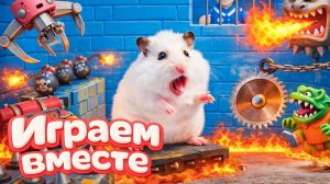 ХОМЯК ВЫБИРАЕТСЯ ИЗ СЕКРЕТНОЙ ХОМЯЧЕЙ ТЮРЬМЫ ! Играем ВМЕСТЕ 3 Помогаем выбраться из лабиринта