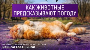 Как животные предсказывают погоду. Интервью с учителем биологии МБОУ “ЦО N34” Ириной Абрашиной