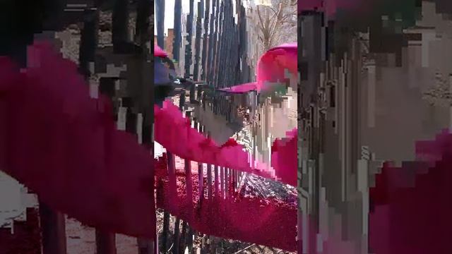 гуляем весной