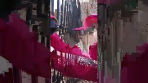 гуляем весной