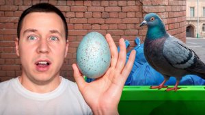 Едим Яйца Разных Животных!