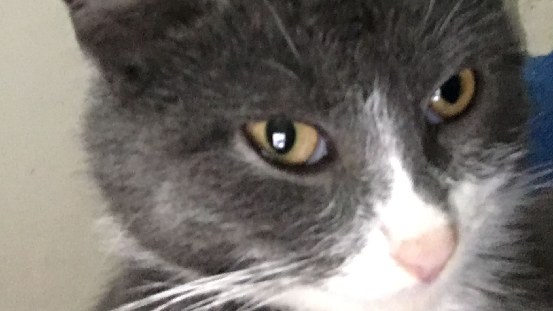 БЕТОННЫЙ СПЕЦНАЗ 2.0: Бирна и ДЕНЬ РОЖДЕНИЯ ДОМИНИОНА! 🎉 [Сезон 2 Серия 2]