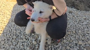 Ушли на антибиотики