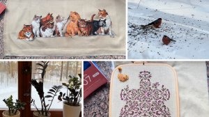 Вышивальные будни. Январь-февраль 2026❄️ вышивка крестом и мои замиокулькасы:)