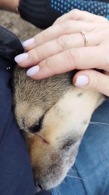 Наш новый друг 😊