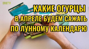 ОГУРЦЫ в АПРЕЛЕ будем сеять только в ПЛОДОРОДНЫЕ дни по лунному календарю садоводов 🥒🌱