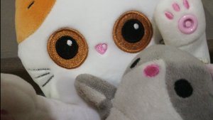 Гуляние с басиками 2026 год