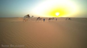 Sahara Desert 4K - Scenic Relaxation Film With Calming Music