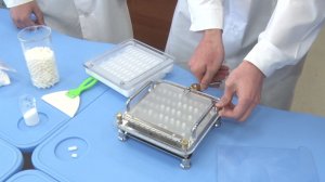 Фармфестиваль в Ярославле собрал более 200 учеников начальных классов