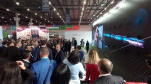 Решение для выставки: голографическая видеостена под ключ