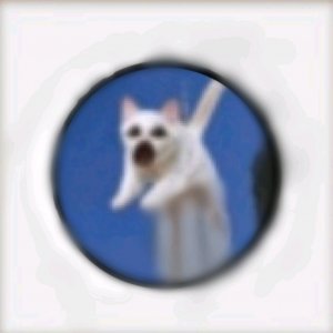 Заходите здесь весело будем играть в какие-нибудь игры и праздновать 60 видео на канале