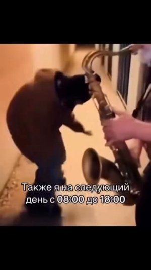 Когда я говорю что больше не буду работать…