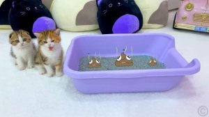 Настя и Стейси ведут себя совершенно по разному