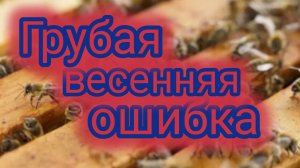 Грубая весенняя ошибка 🐝🐝🐝