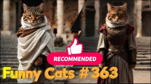Смешные коты #363