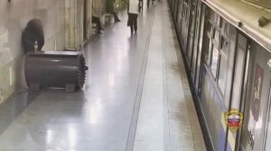 Задержан пассажир метро, избивший человека бутылкой в ответ на просьбу не пить алкоголь в поезде