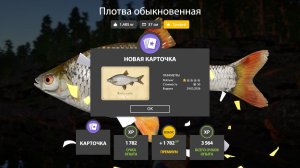 ЛУЧШАЯ РАЗДАЧА СЕРЕБРА НА МЕДНОМ И ЛАДОЖСКОМ РЕДКИЕ АКУЛЫ НА МОРЕ ОБЗОР ВОДОЕМОВ В РУССКОЙ РЫБАЛКЕ 4