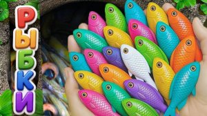 Мультики для детей и малышей про речных обитателей. Ловим и рассматриваем ярких рыбок. Мультики