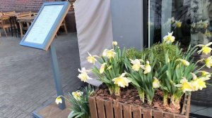 Путешествие по Калининграду. Продолжение