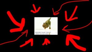 что происходит в моей голове