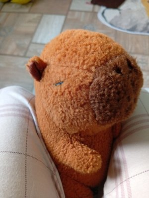 трансляция, как и бары шеф-повара.