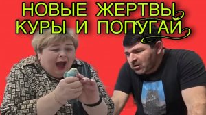 НОВЫЕ ЖИВЫЕ ИГРУШКИ! КУРЫ И ПОПУГАЙ! ОЛЬГА УРАЛОЧКА LIVE. ОБЗОР.