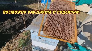 пасека возможно расширим и подсилим да