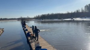 Запуск форели