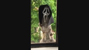 #смешныевидео -1256