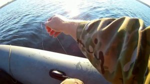 ЛОВЛЯ ЛЕЩА НА ДОНКИ С ЛОДКИ.река ВОЛГА.