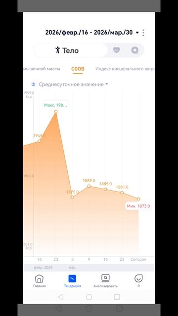 17я неделя отчёт по похудению