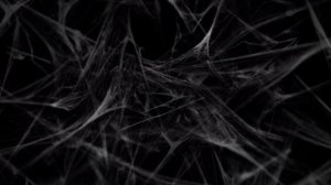 [Blox Fruits🔥]Тизер будущего видео🔥! Ждите...