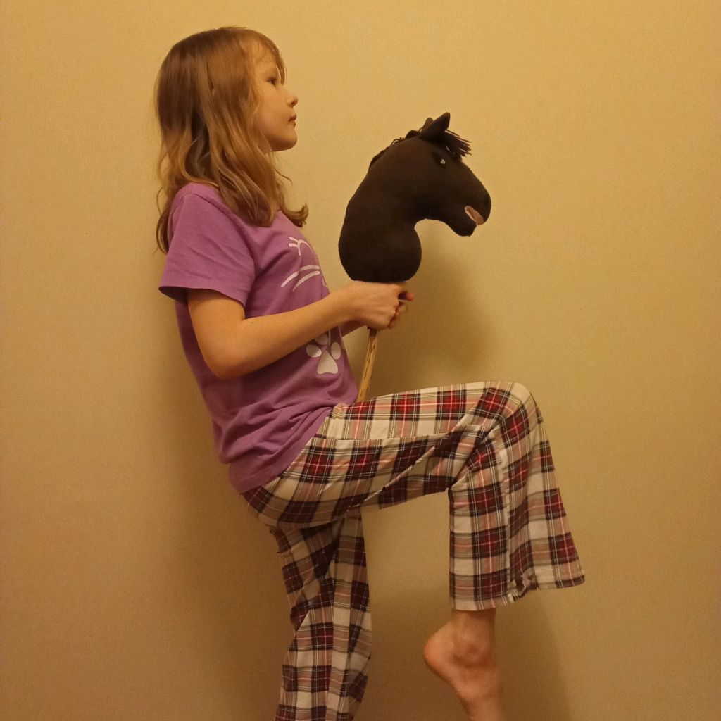 тренеровка по хоби хорсингу конкур