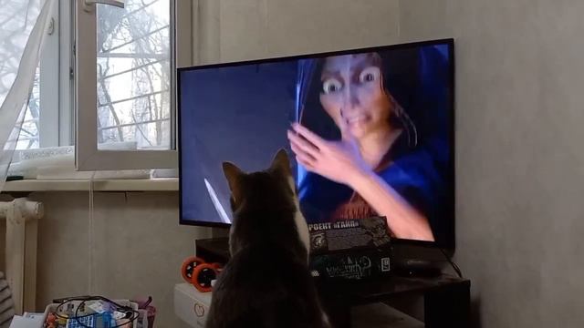 Не мешайте смотреть!