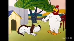 Looney Toons 🐓🐤🦊
