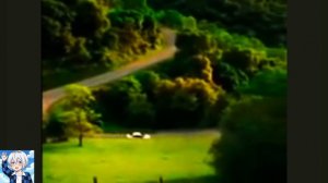 ЛЕС И МАШИНА КРАСАТА!