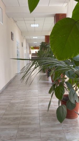 Лечебный корпус, процедурный кабинет