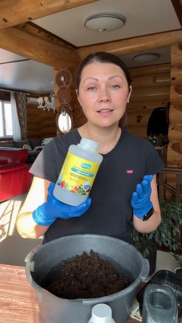 Посев перца на рассаду в марте: схема ухода