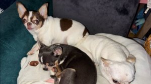 Всем самого доброго вечера и самой доброй ночи!