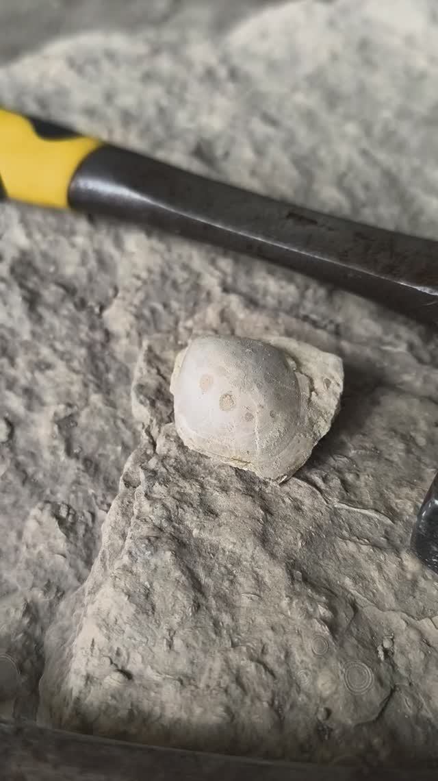 Если долго смотреть в камень, то он посмотрит в тебя 2