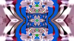 Весна! Полёт цветочных лепестков 7! Киностудия Мудрого Кота Тимофея!