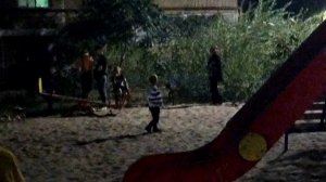 Двор, спор с Артемом.