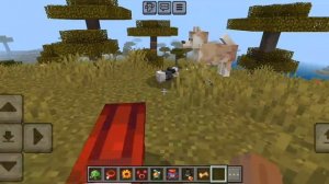 МОЙ ПИТОМЕЦ И ДРУГИЕ ПИТОМЦЫ В МАЙНКРАФТ