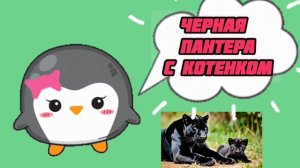 ЖИВОТНЫЕ И ИХ ДЕТИ. РАЗВИВАЮЩЕЕ ВИДЕО ДЛЯ ДЕТЕЙ.