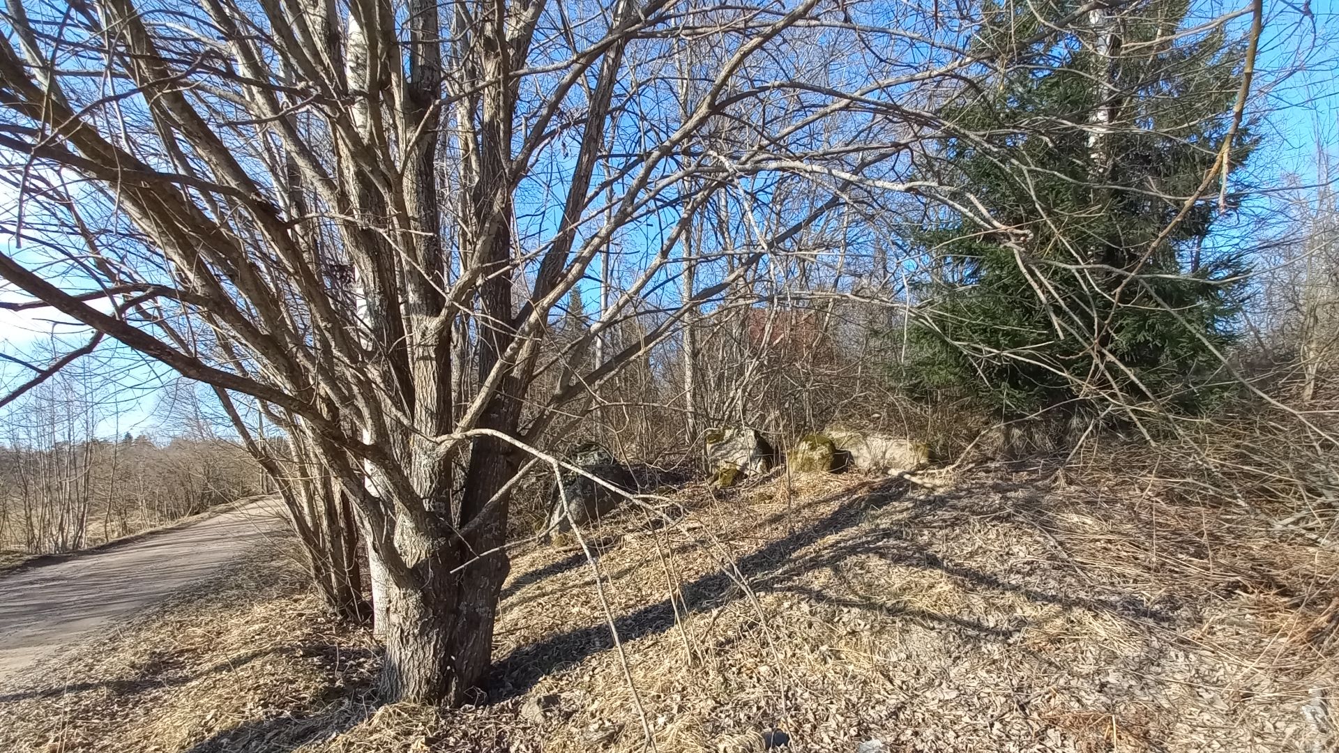 Участок в Кротово