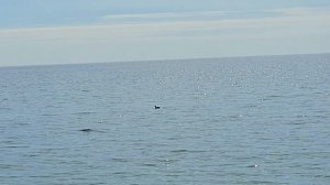 Прямо стрессанула🫣 Море, парус и добрые люди🥰