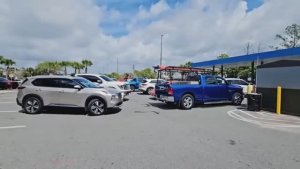 Лиса в Америке / УжасПохоже началась паникаОчереди на заправках в СШАСпасаемся бесплатными USA