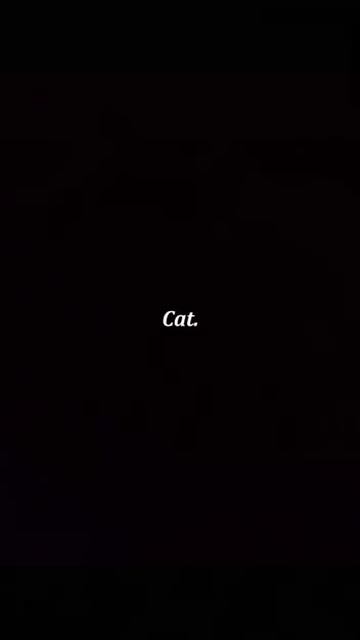 Пугливые коты